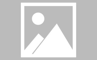肇州信息系统网页设计（信息系统网页设计主要包括）